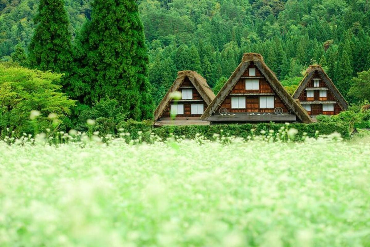 a group of homes with thatched roofs in a forest