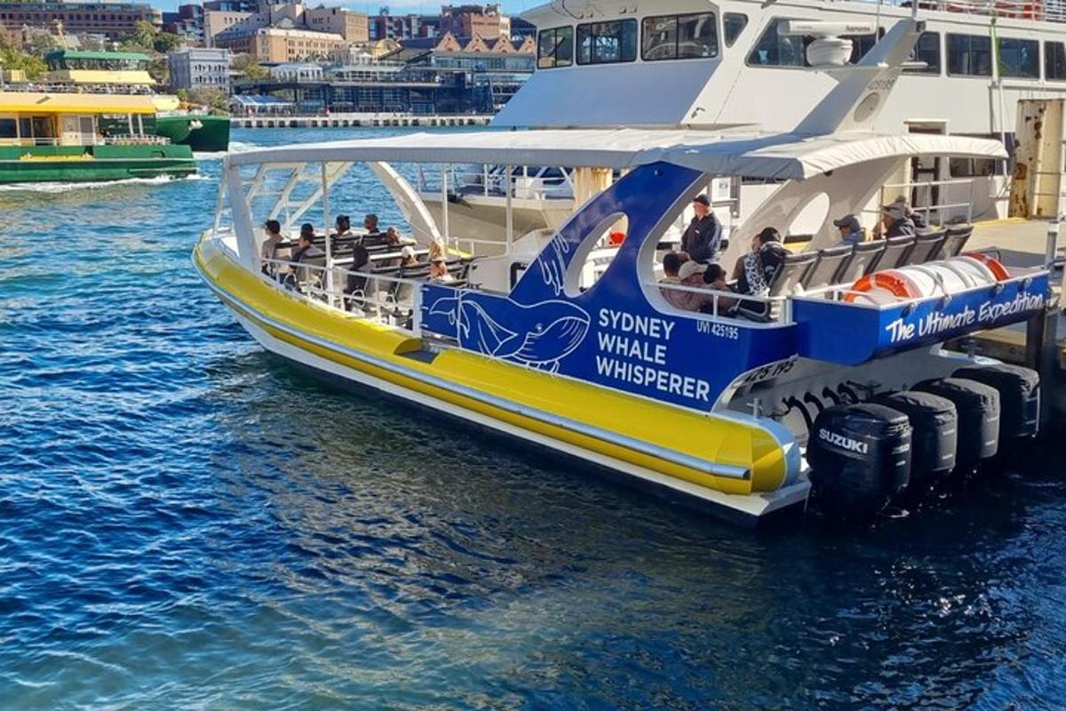 Un barco con gente en el agua