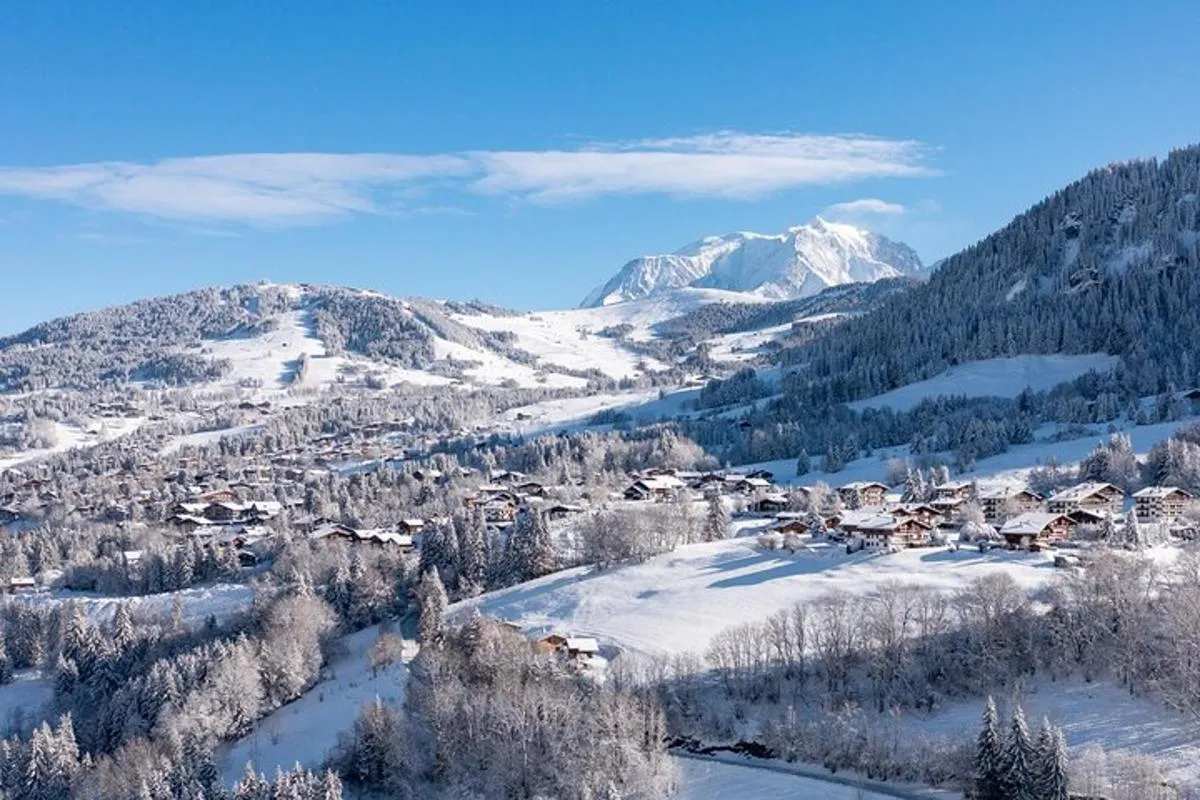Observation animalière guidée à Megève avec pique-nique, 8 h – photo 8