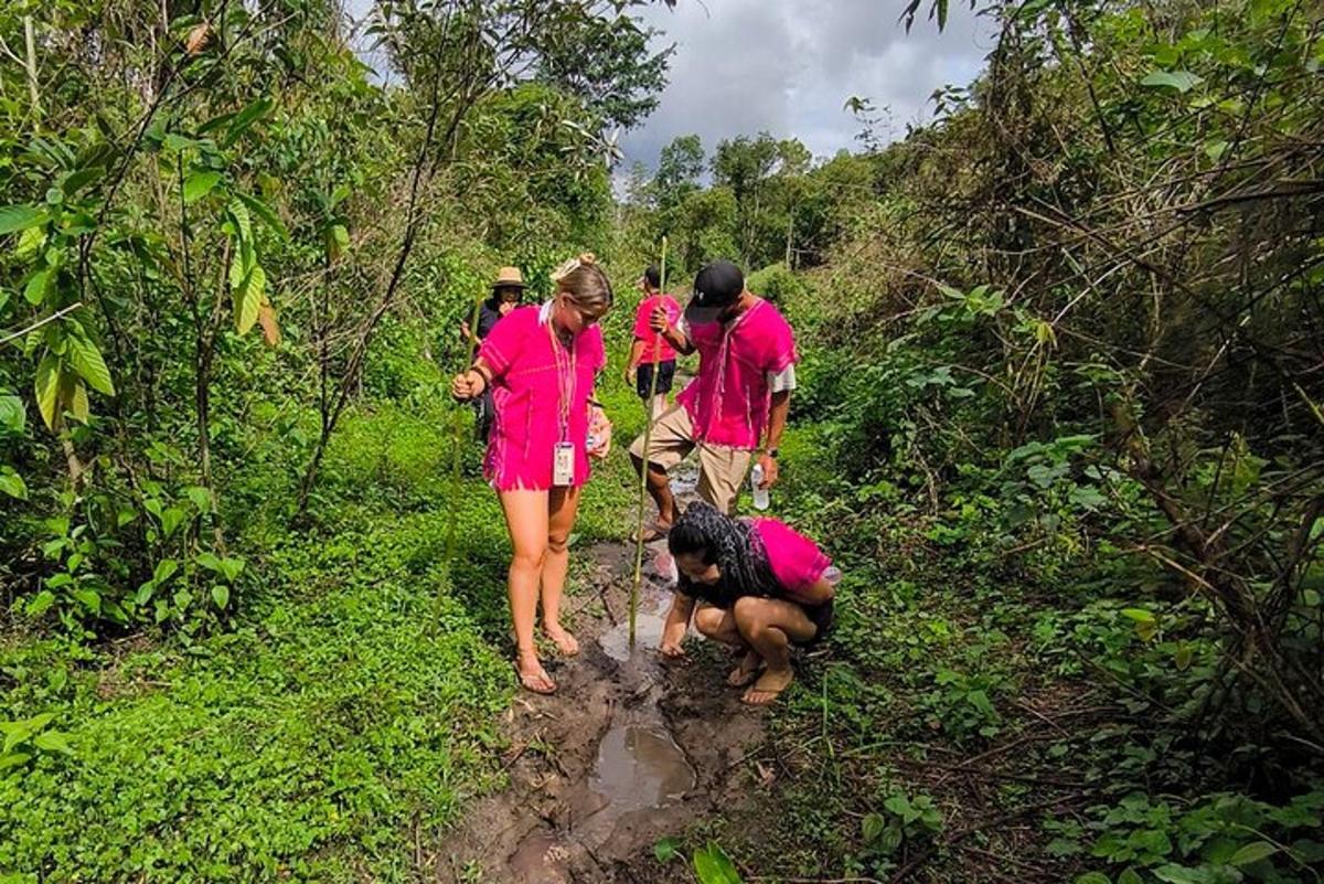 a group of people walking down a muddy trail