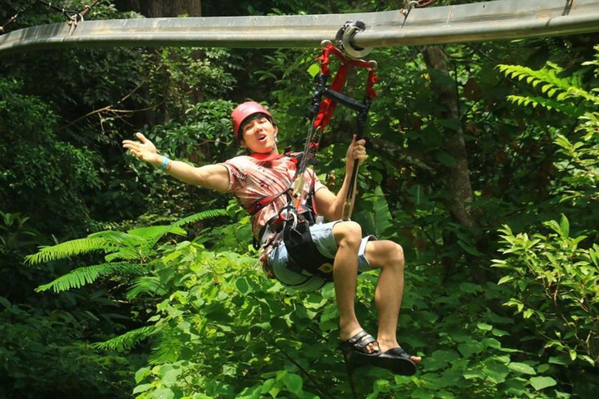 um homem andando em uma tirolesa na selva
