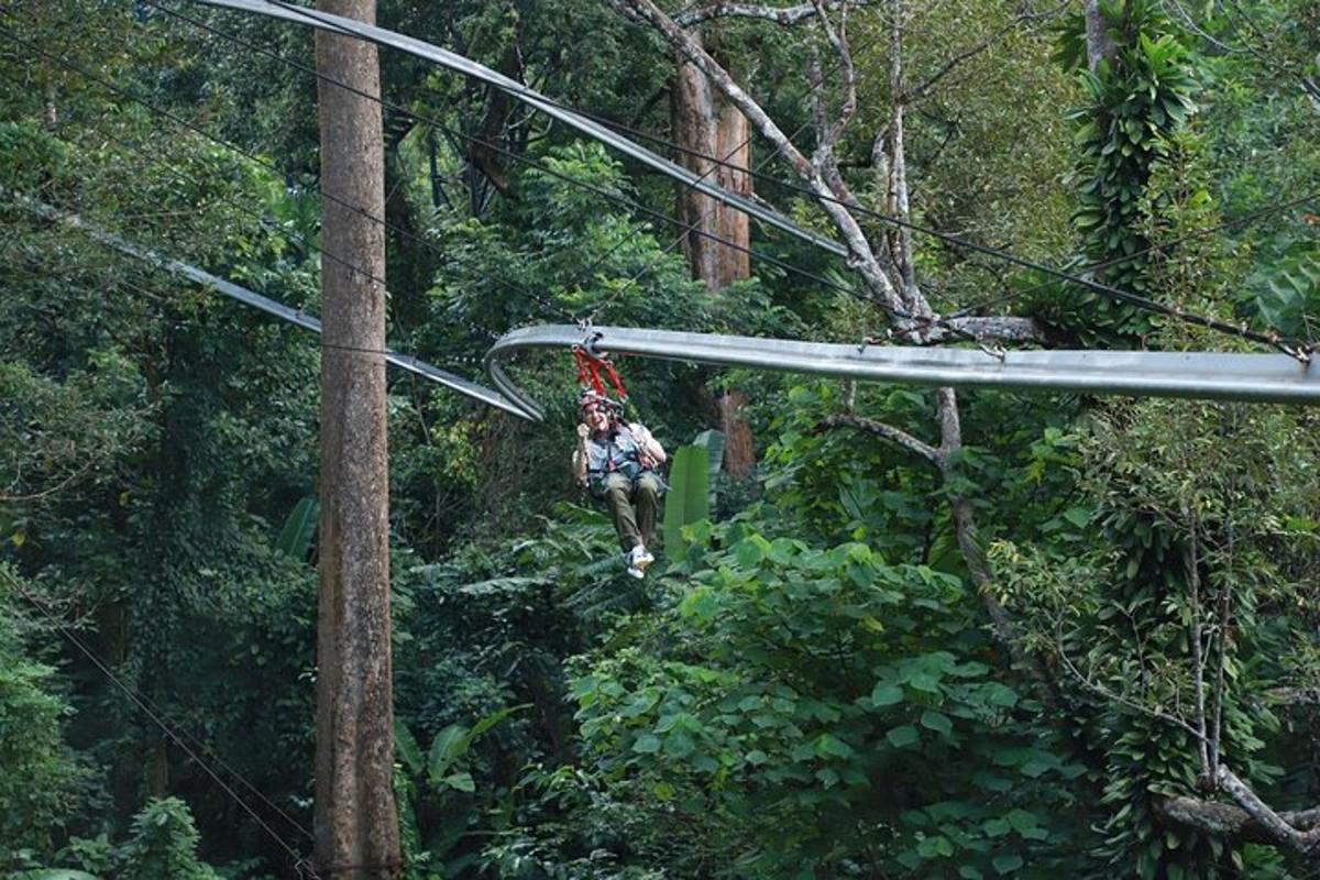 oseba na ziplineu v gozdu
