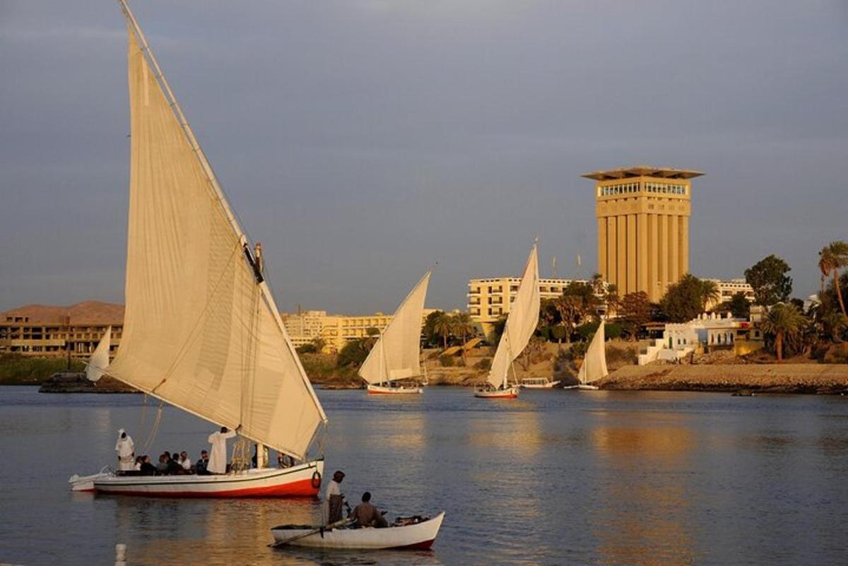 a group of sailboats on a river with a city