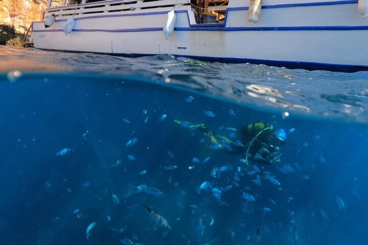 sekumpulan ikan berenang di sebelah bot
