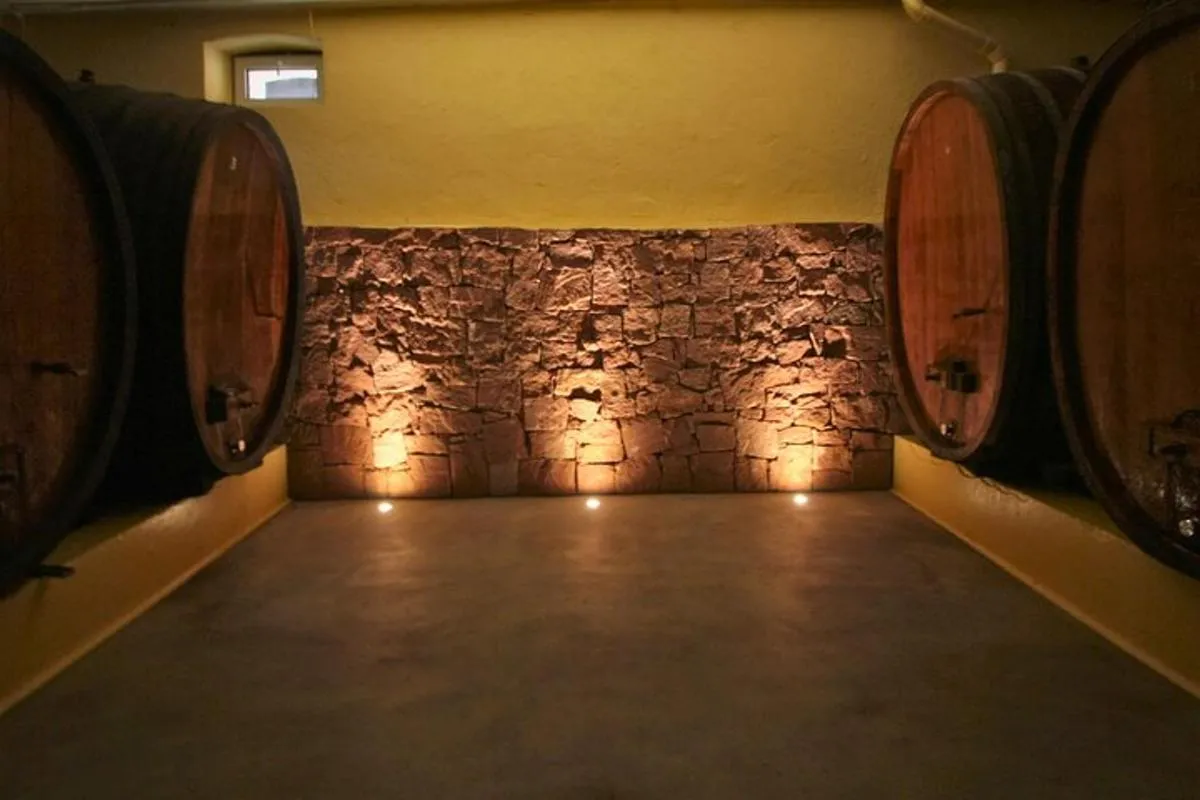 Colmar : visite de cave, dégustation et plateau gourmand, 1 h 30 – photo 2
