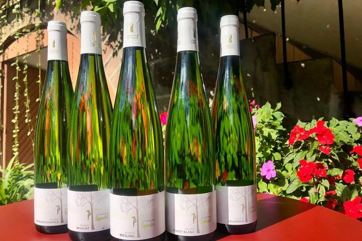 Colmar : visite de cave, dégustation et plateau gourmand, 1 h 30 – photo 3