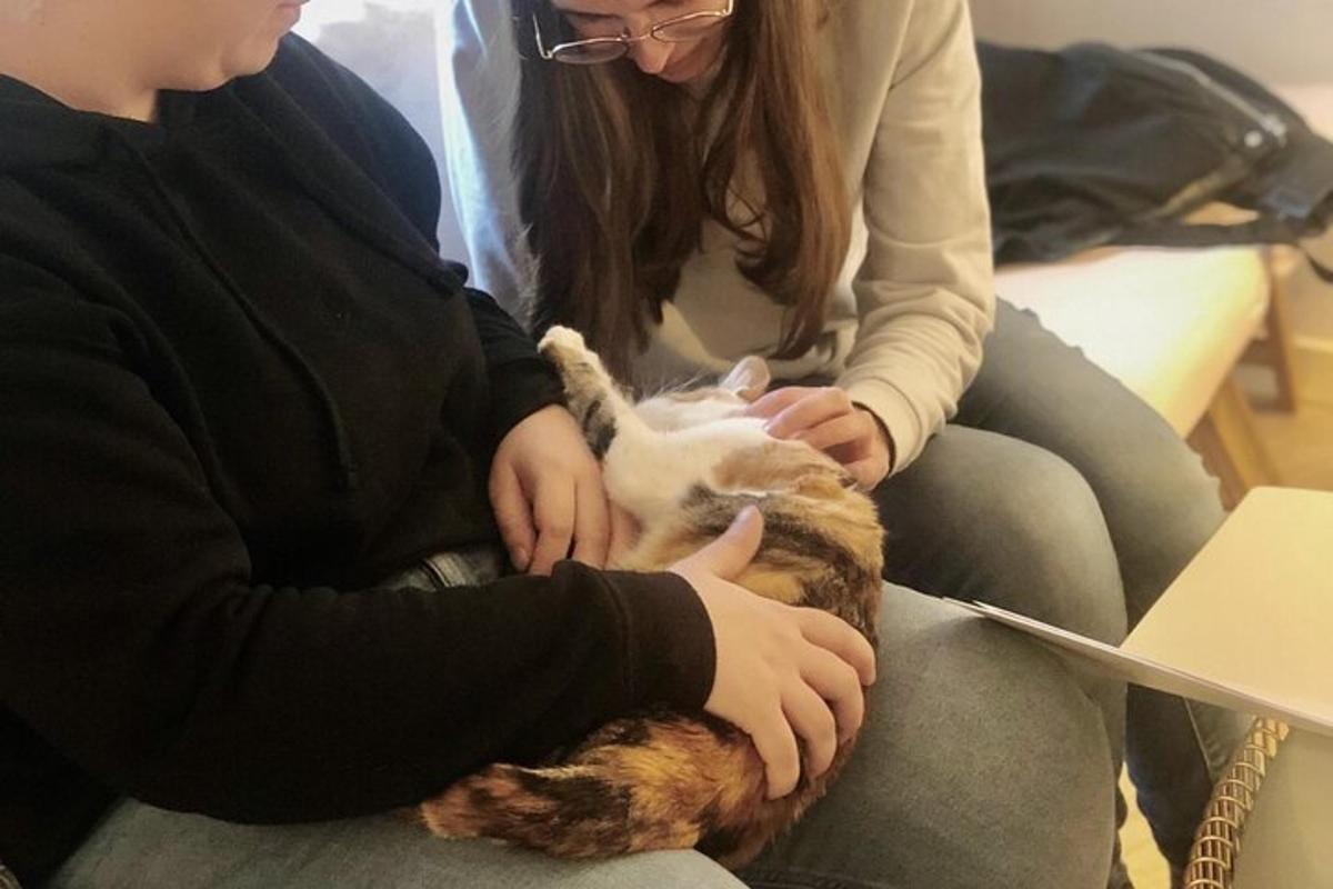 pár lidí držících kočku na klíně
