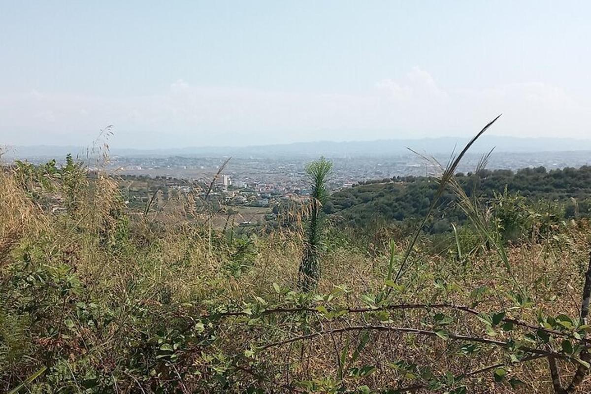 una vista di una città dalla cima di una collina