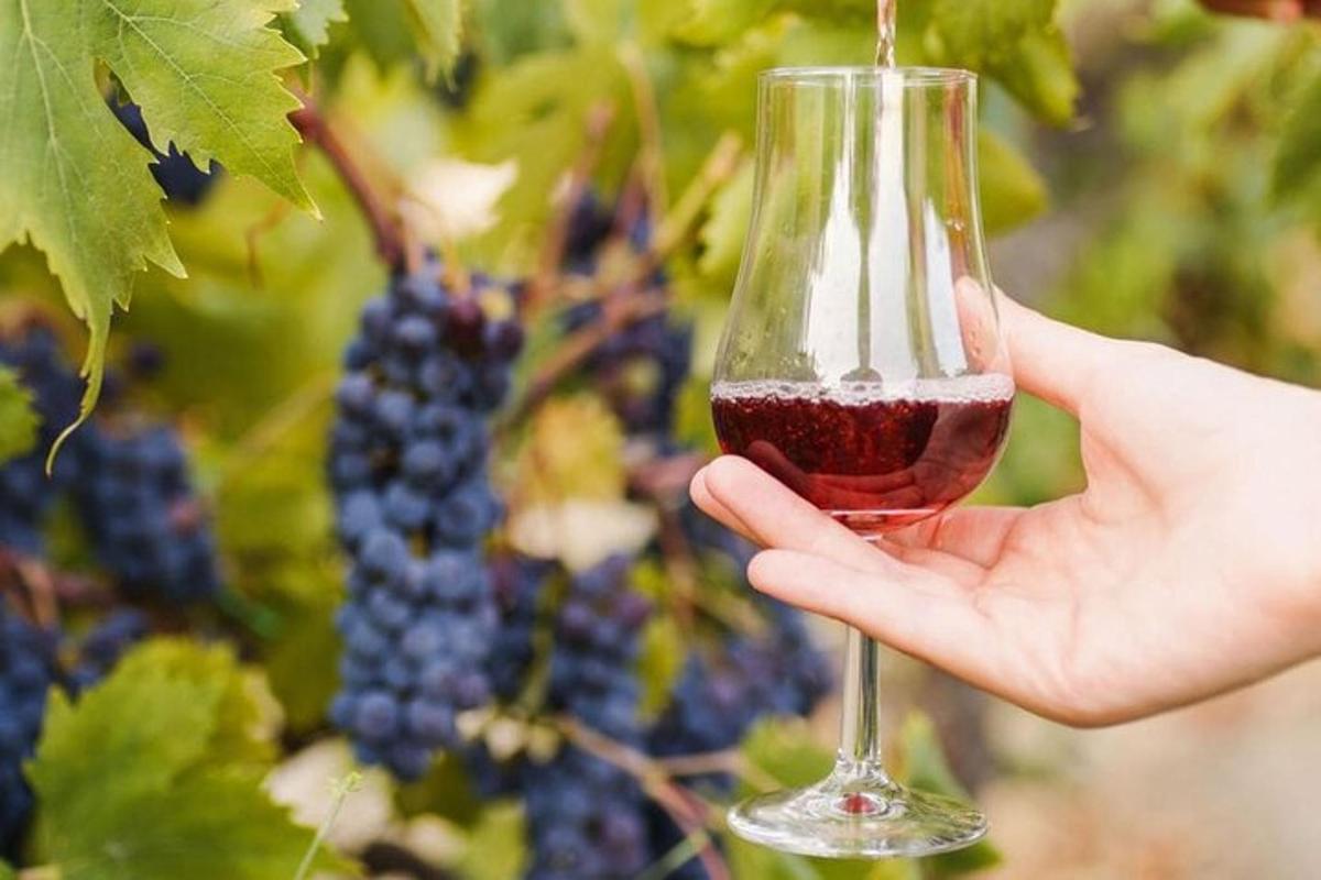 una persona che tiene in mano un bicchiere di vino rosso davanti all'uva