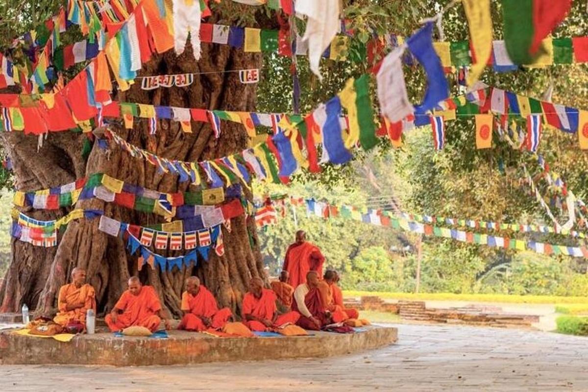 一群僧侣坐在一棵树下，树下悬挂着经幡