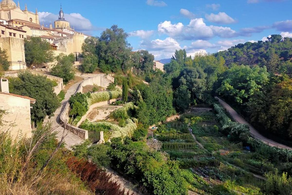 uma vista de um jardim com árvores e edifícios
