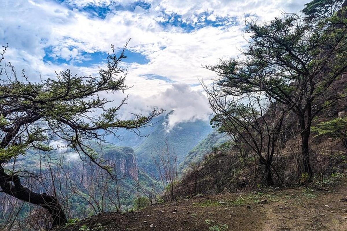 una vista di una montagna con alberi su una collina