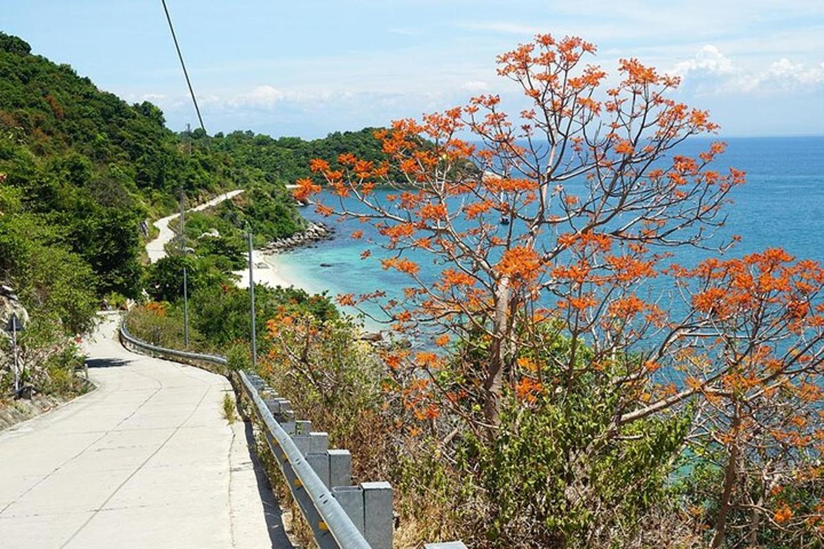 jalan setapak di samping laut dengan pohon