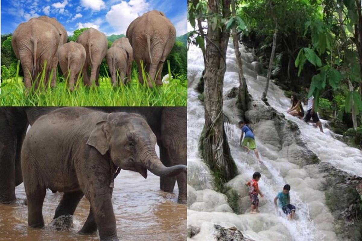three pictures of elephants and people in a river