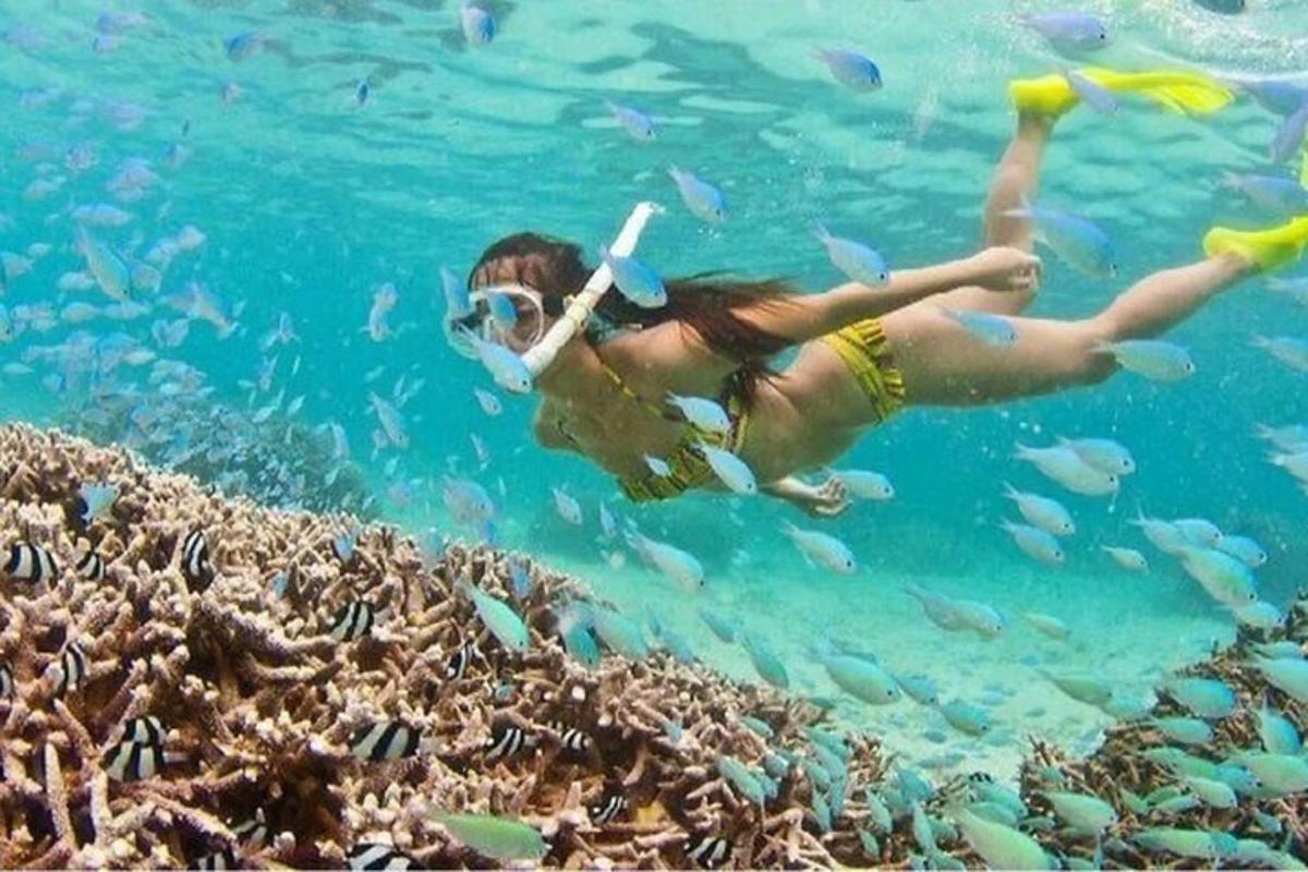 seorang wanita berenang di dalam air dengan ikan