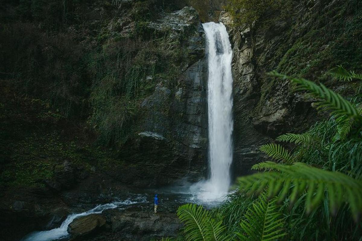 air terjun di hutan dengan seseorang berdiri di depannya