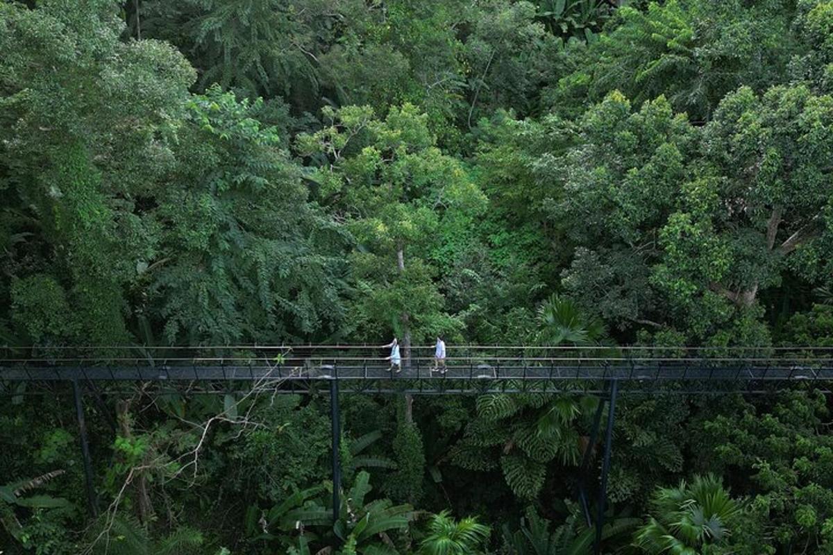 Dos personas de pie en un puente en el bosque.