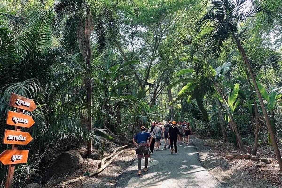 isang grupo ng mga taong naglalakad sa isang landas sa gubat
