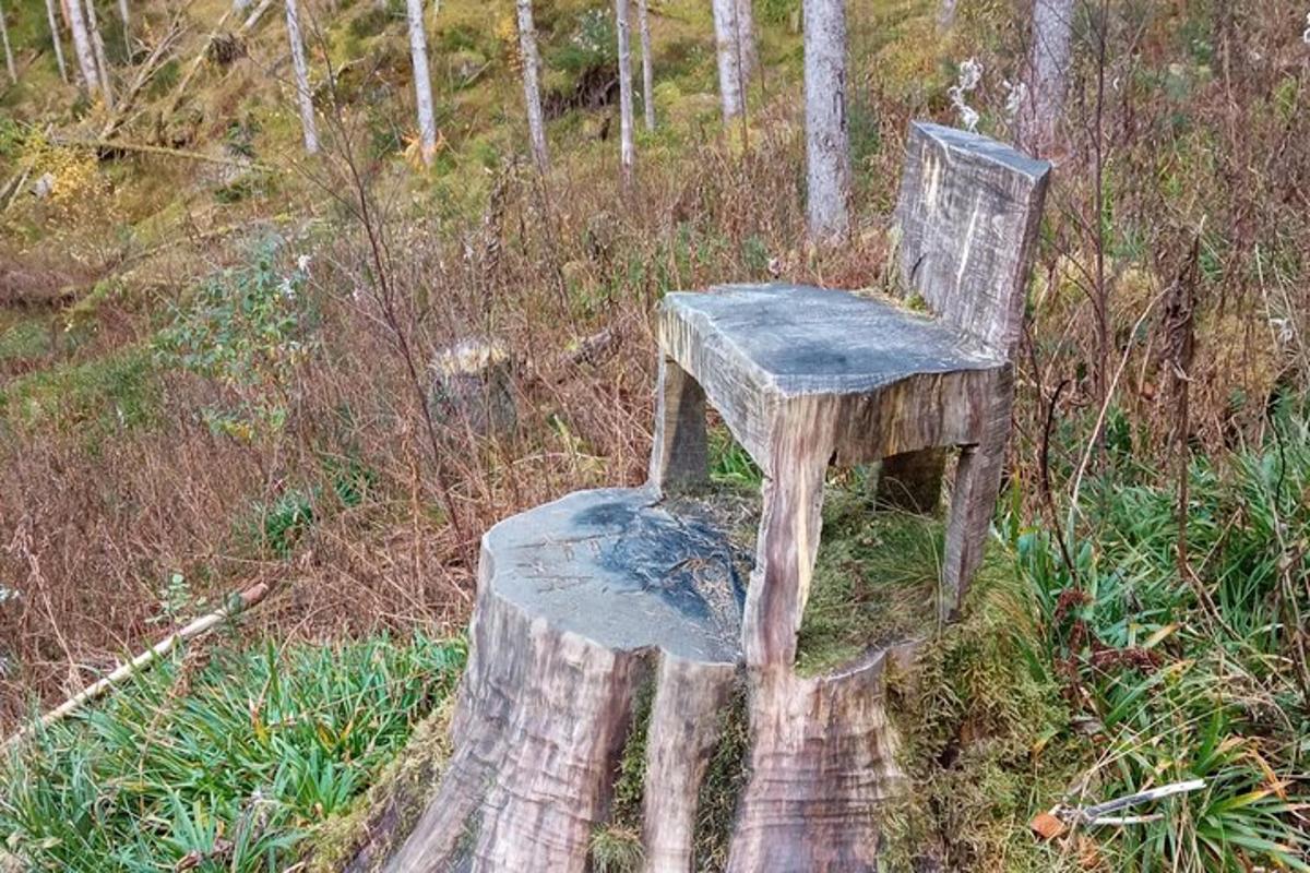 a chair sitting on top of a tree stump