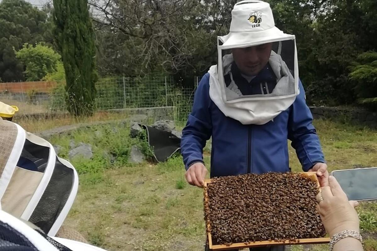 ein Mann mit einem Bienenstock auf dem Kopf, der eine Honigbiene hält