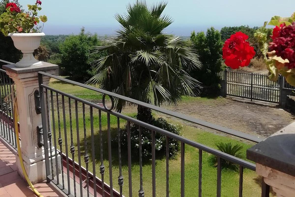 balkon dengan pagar dan pohon palem