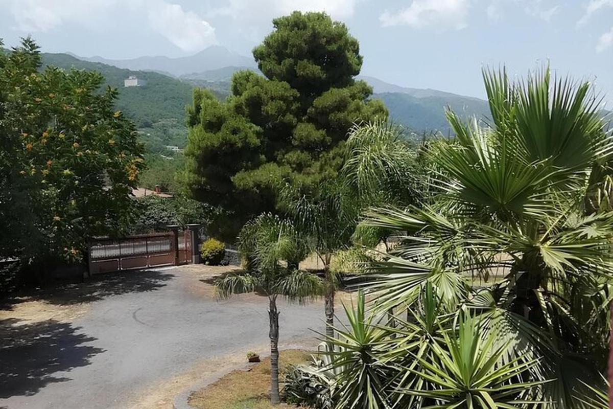ein Garten mit Palmen und Bergen im Hintergrund