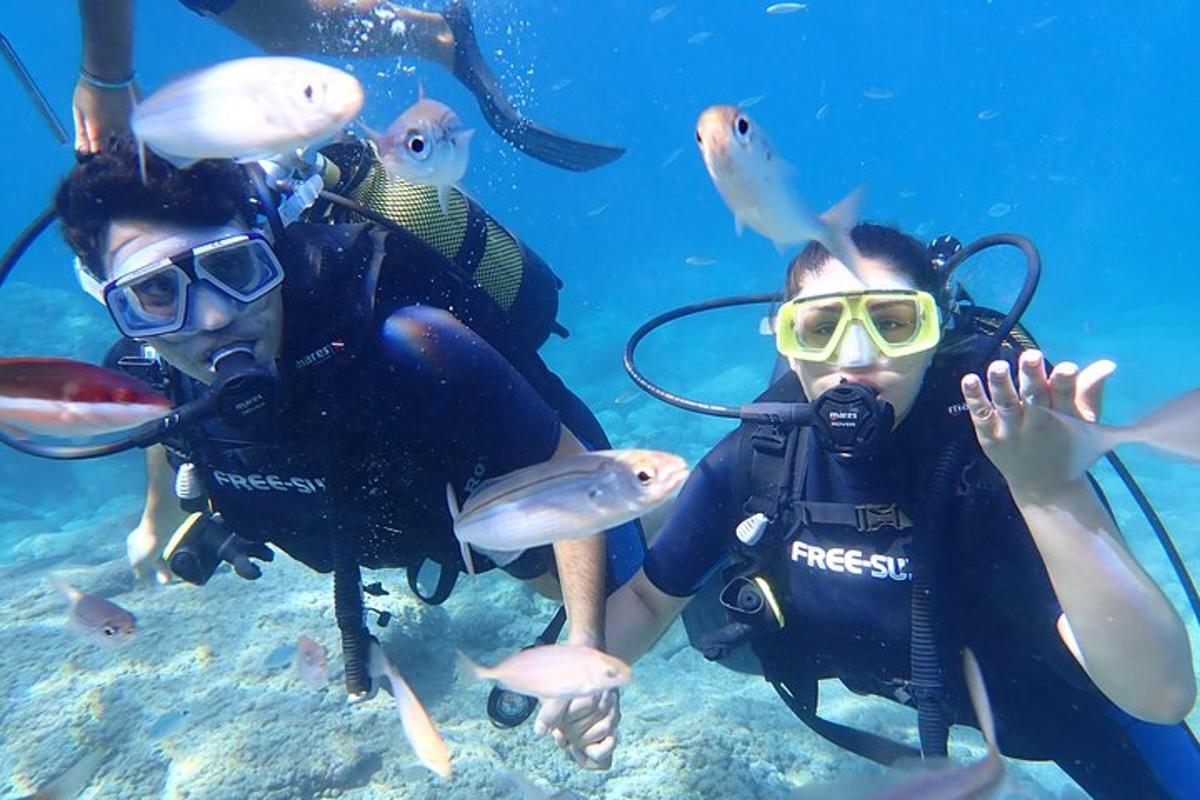zwei Menschen schwimmen mit Fischen im Meer