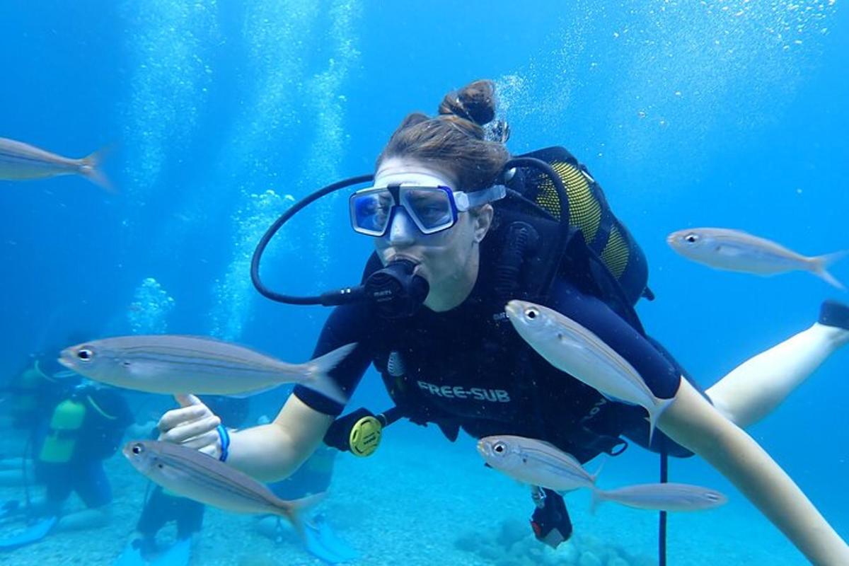ein Taucher im Wasser mit Fischen