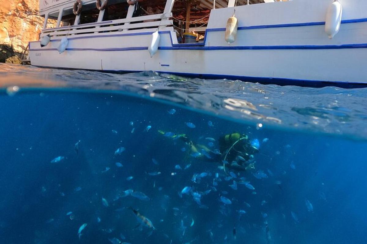 um barco na água com um grupo de peixes