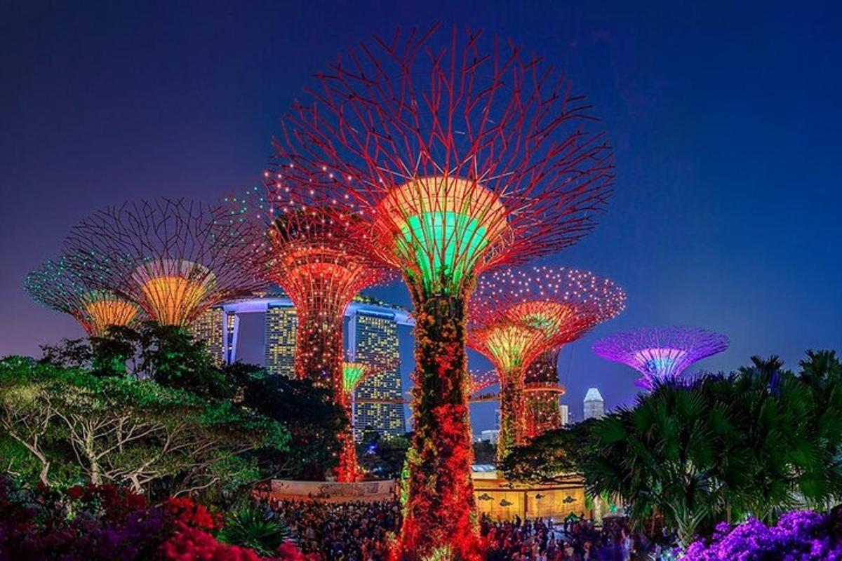 a group of trees lit up at night