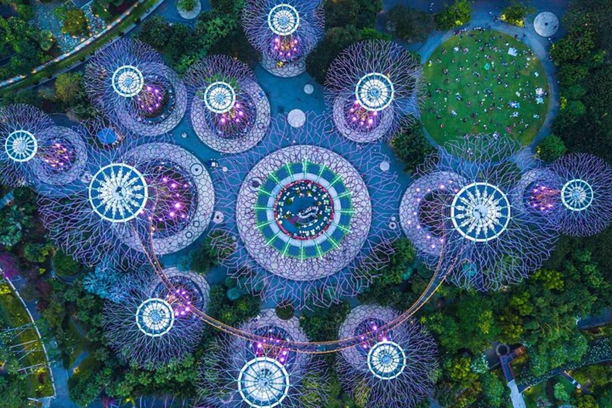 an overhead view of a bunch of purple umbrellas