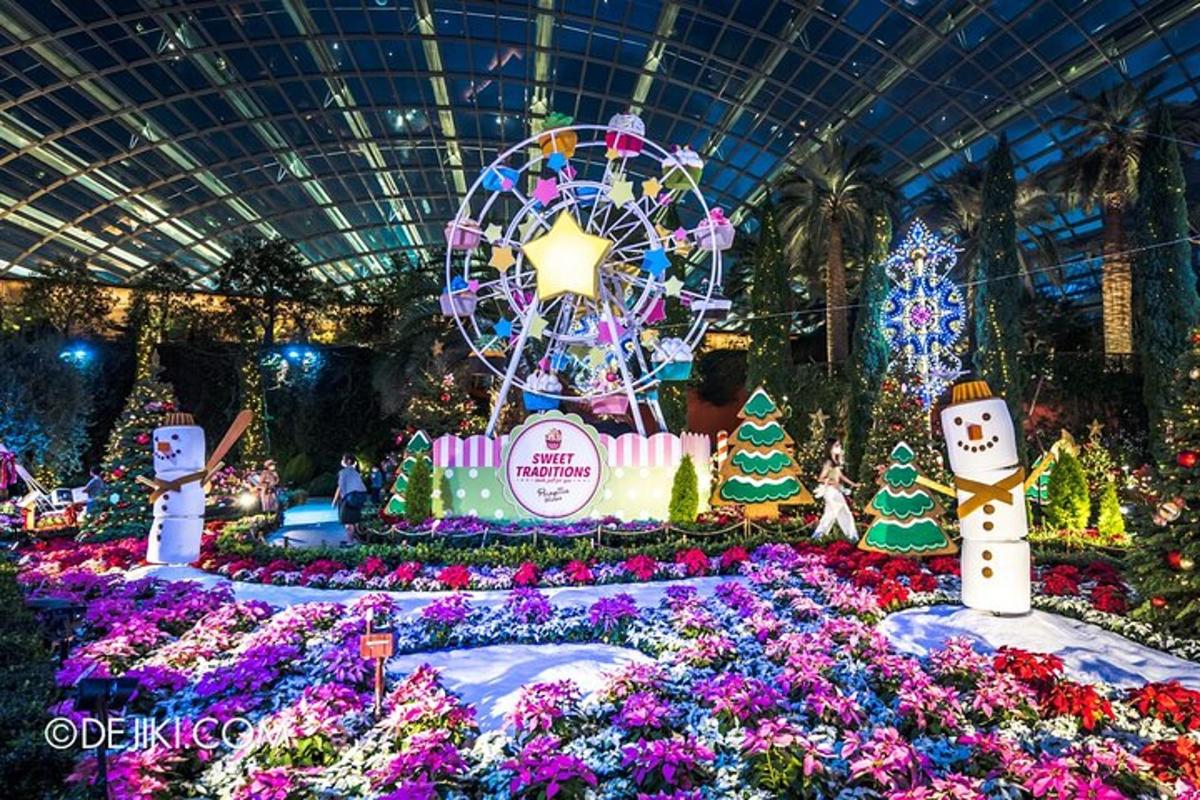 a display of christmas plants and flowers in a building