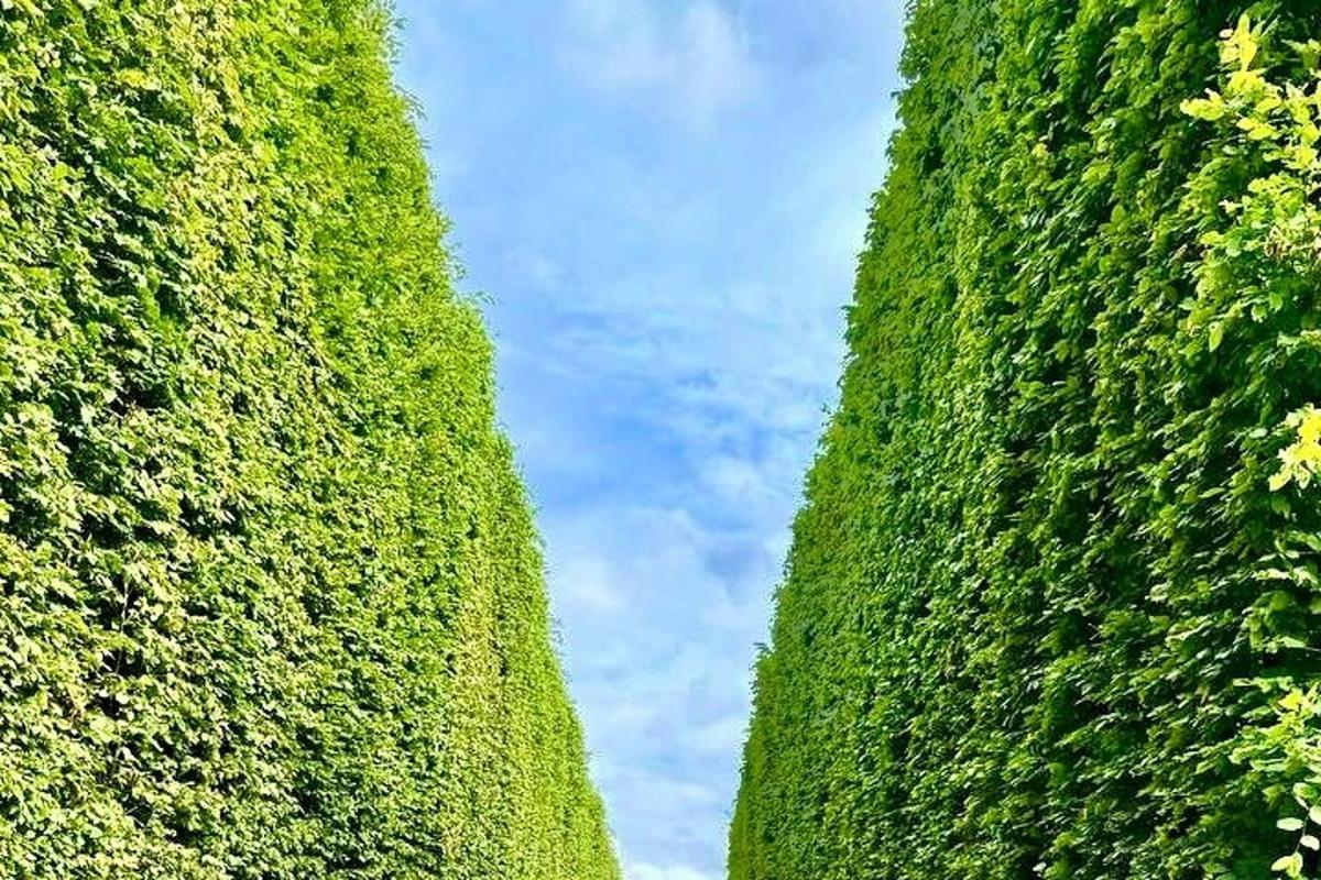Foto dell’attrazione numero 4