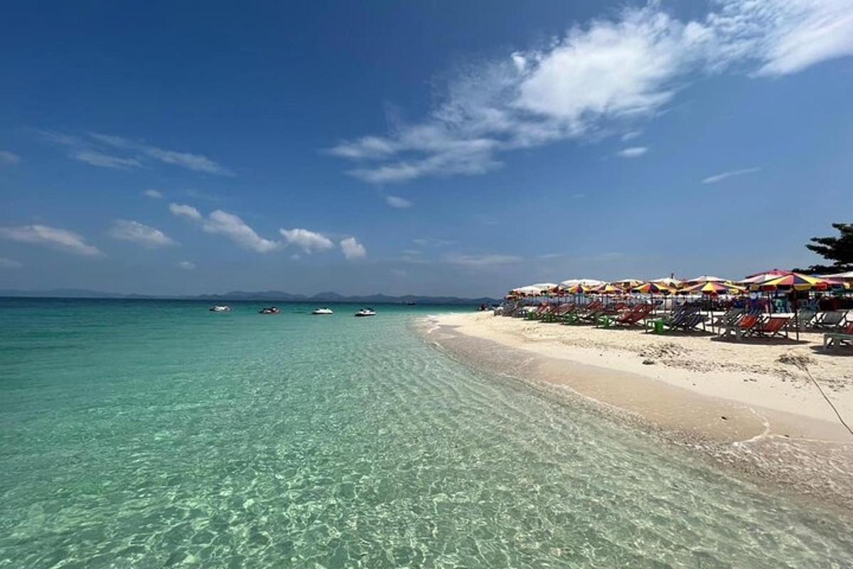 una spiaggia con sedie e ombrelloni e l'oceano