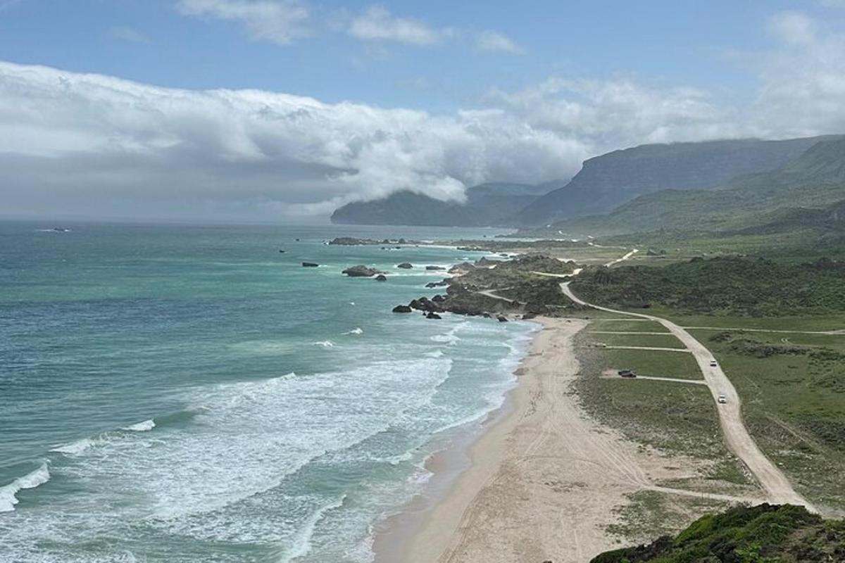 an aerial view of a beach and the ocean