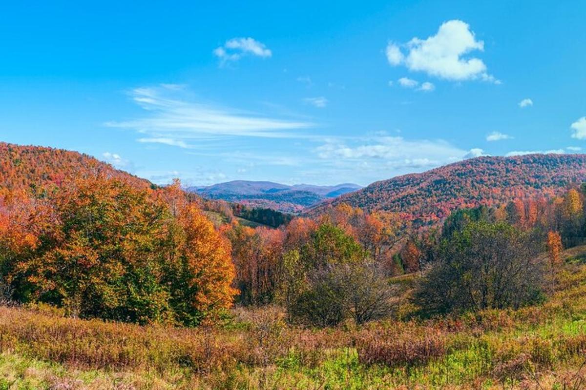 a view of the fall foliage in the mountains
