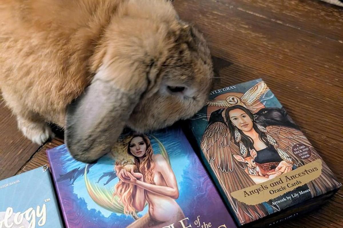 un coniglio di peluche adagiato sopra due libri