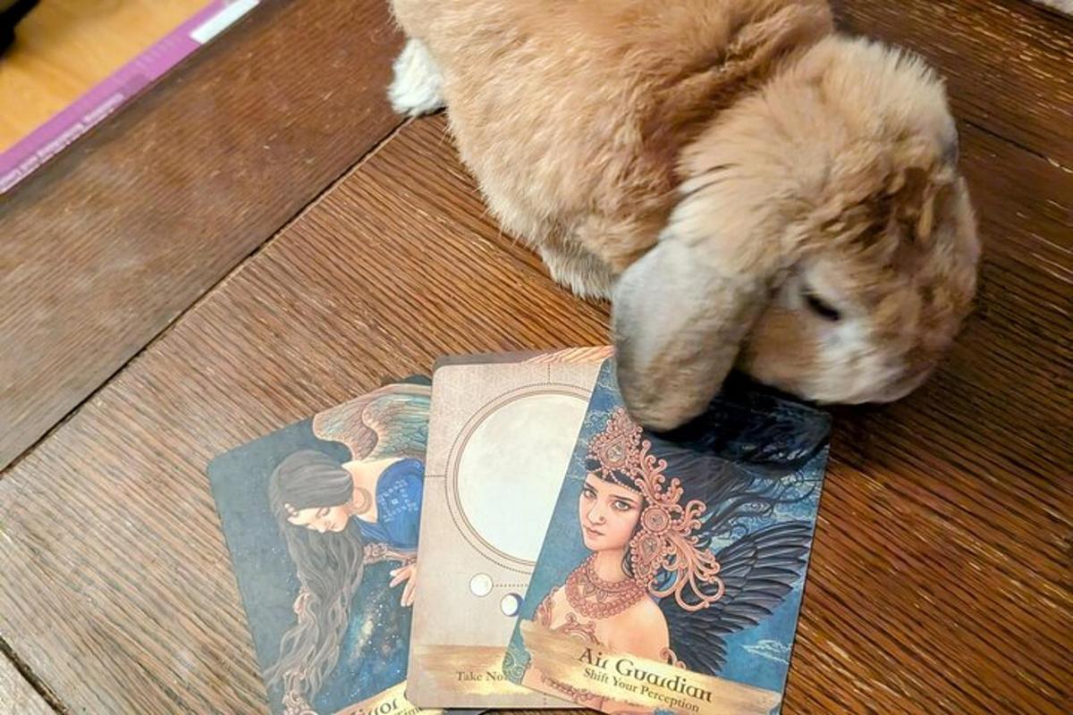 un animale di peluche è in piedi accanto a un libro
