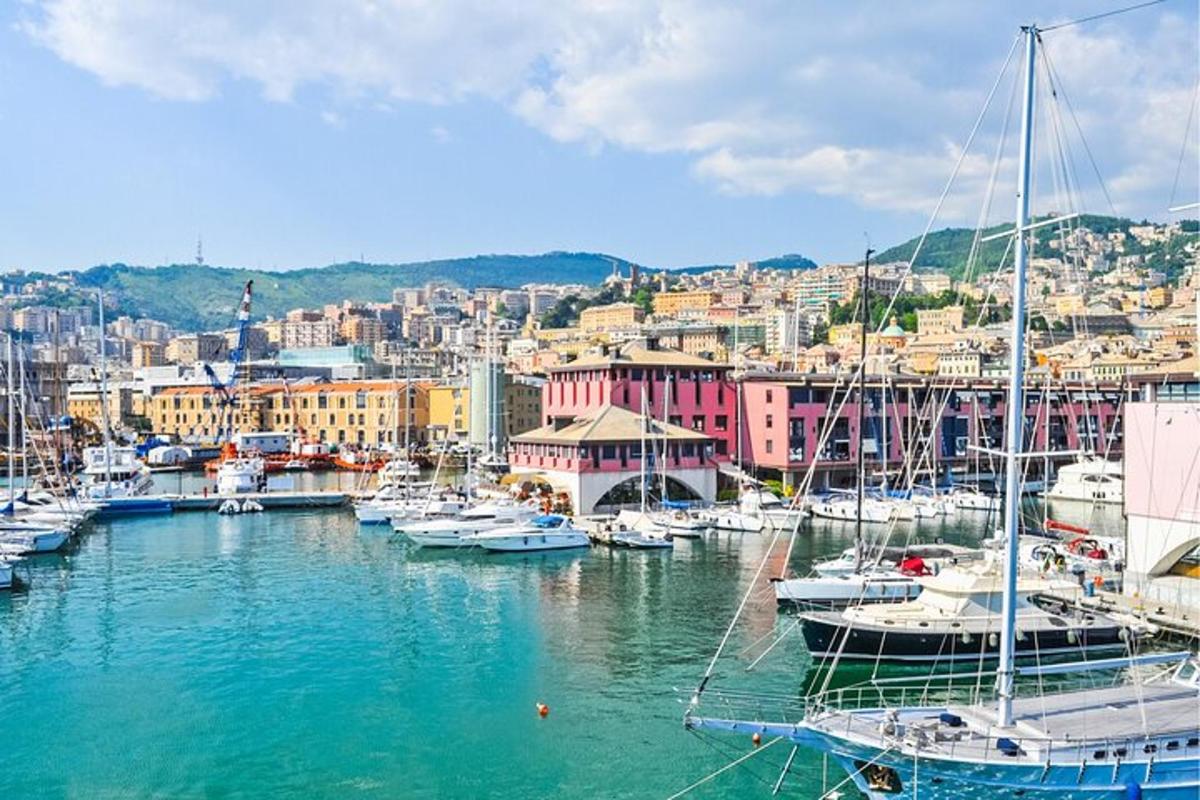 un gruppo di barche attraccate in un porto con una città