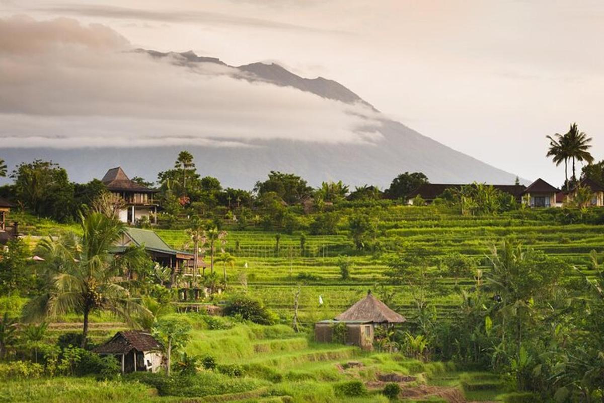 uma vila em um campo com uma montanha ao fundo