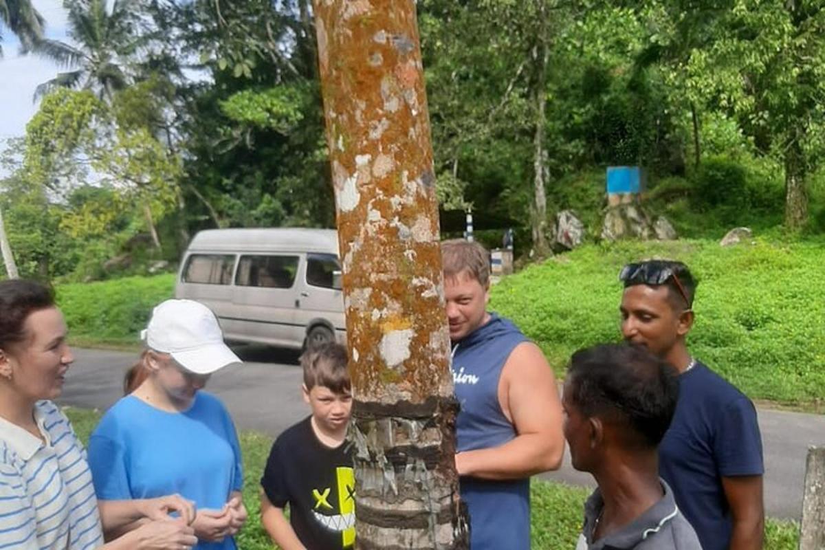 sekumpulan orang berdiri di sekeliling pokok