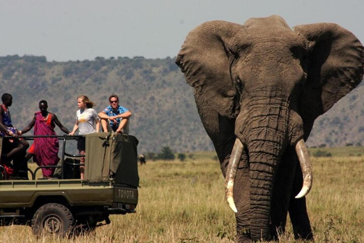 un gruppo di persone che viaggiano sul retro di un camion da safari
