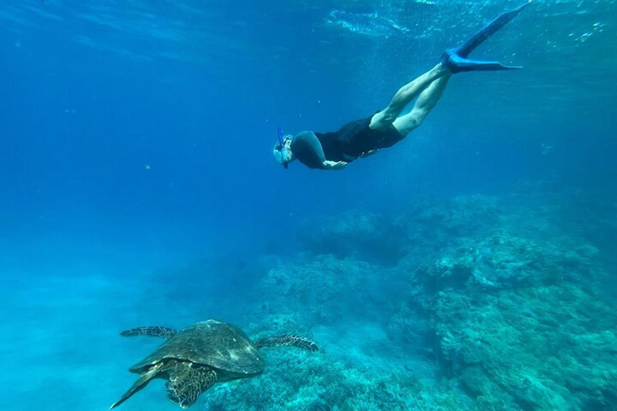 una persona che nuota nell'oceano con una tartaruga