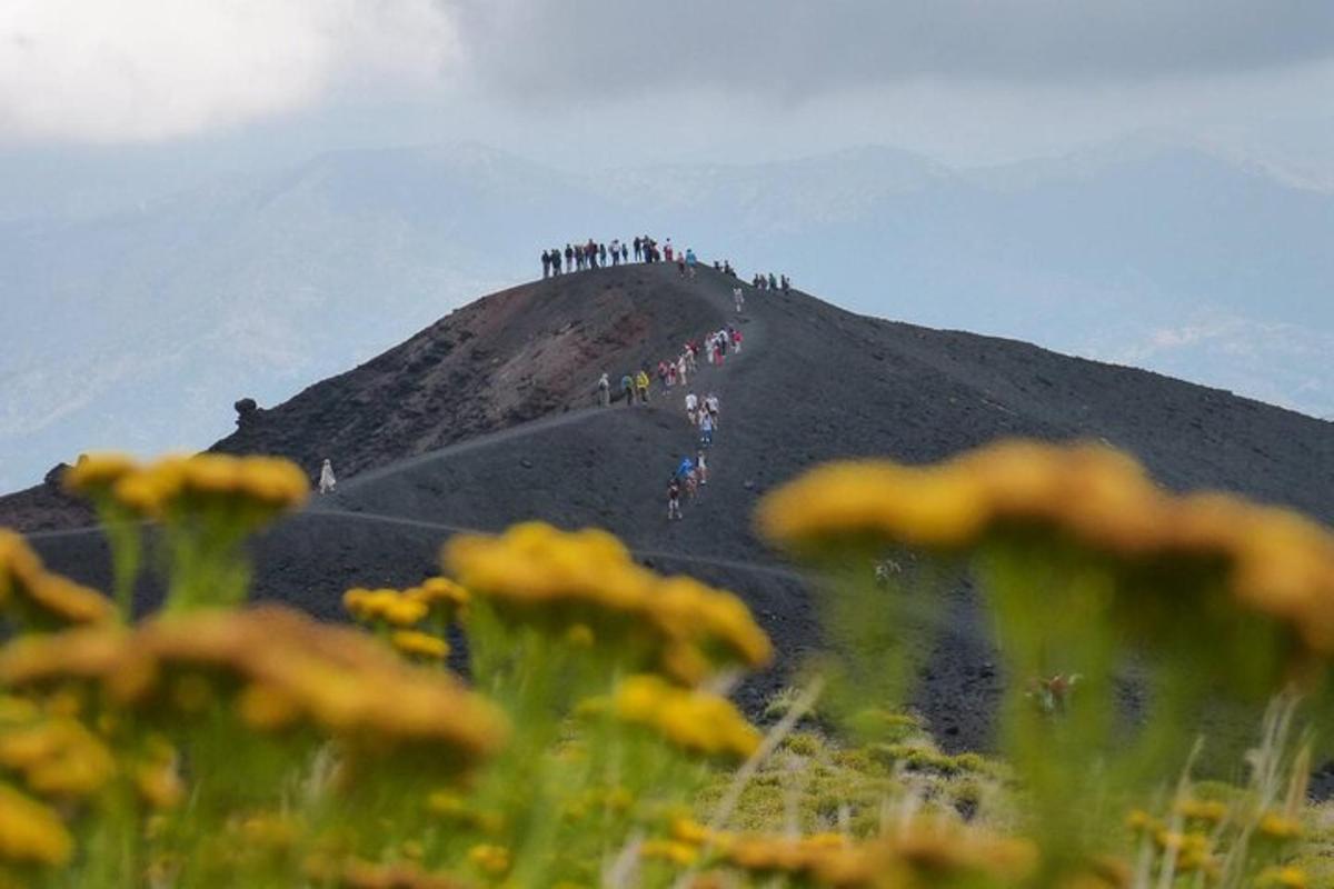 un grup de persones dretes al cim d'un turó