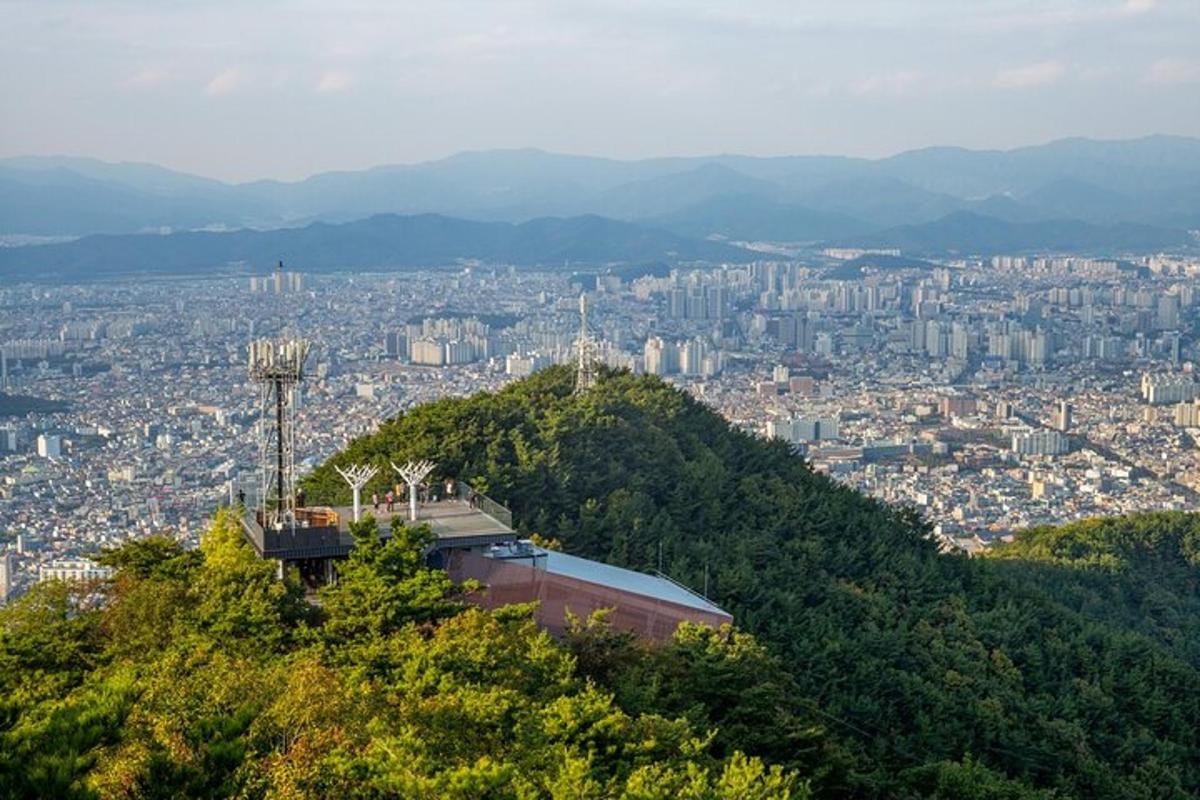 a view of a city from the top of a hill