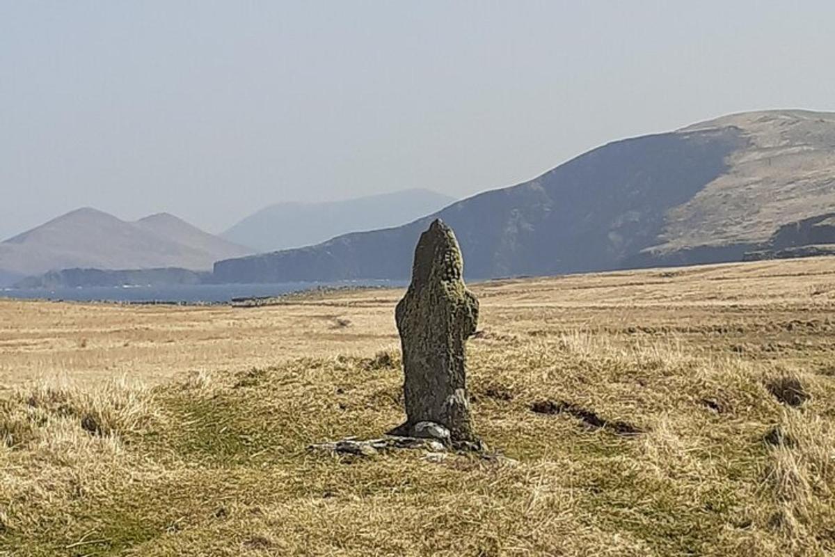 una statua in un campo con le montagne sullo sfondo