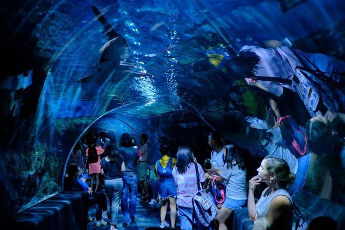 a group of people standing in a large aquarium