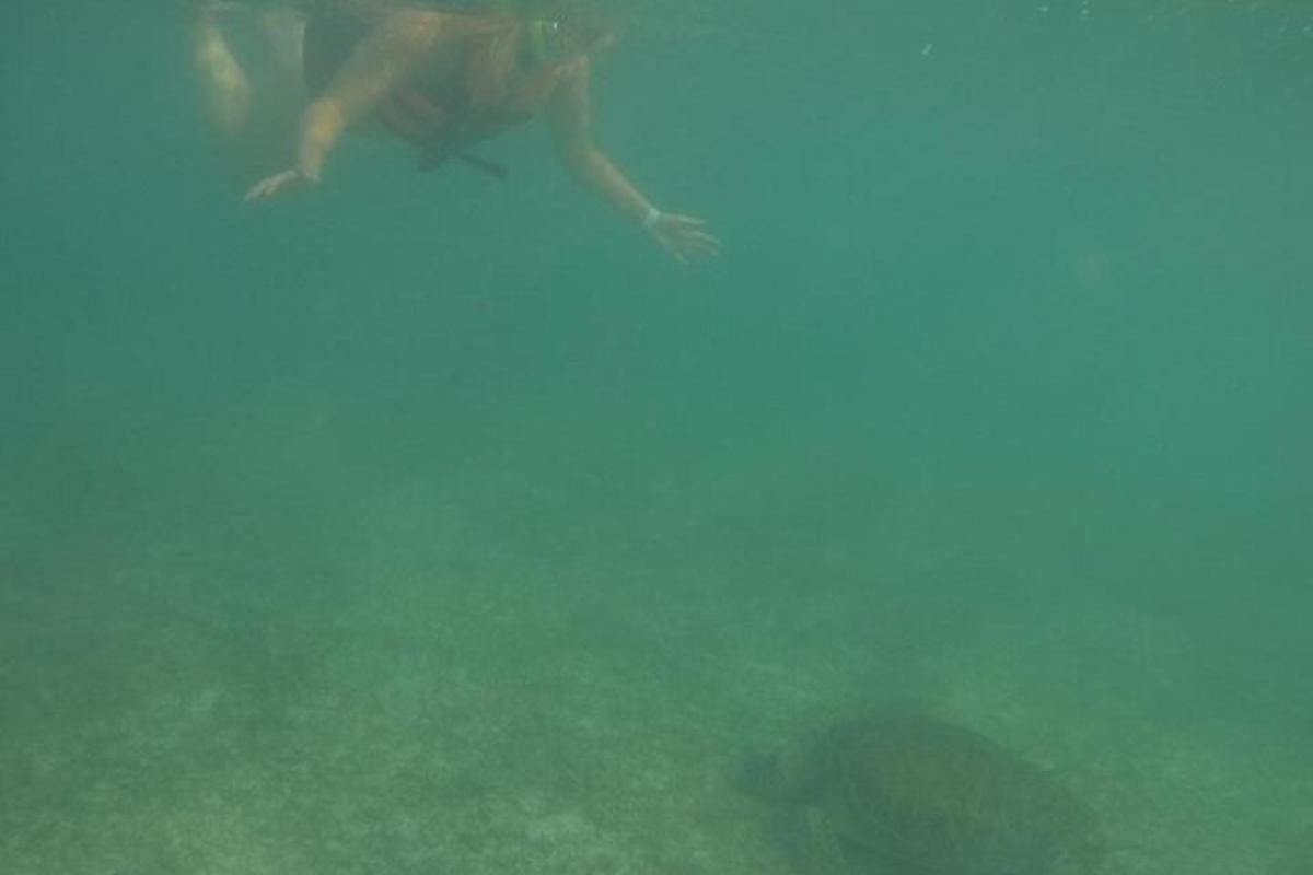 a group of people swimming in the water