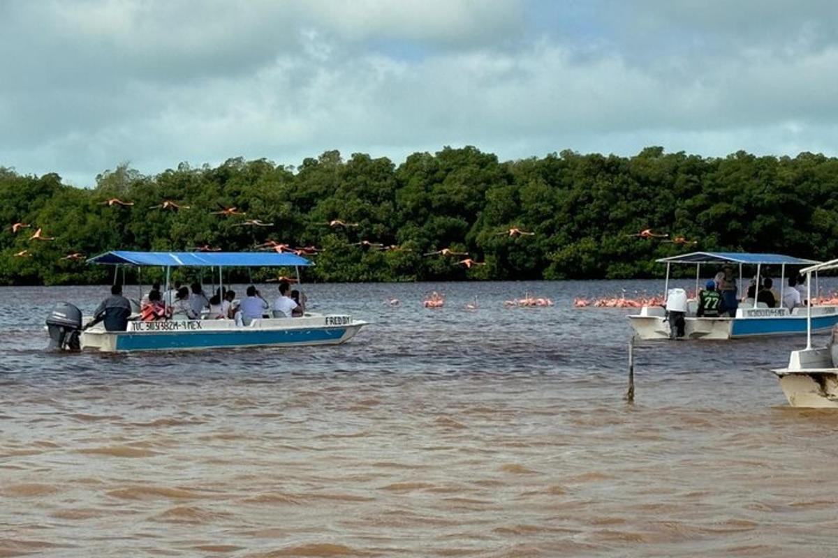 zwei Boote mit Menschen darauf im Wasser