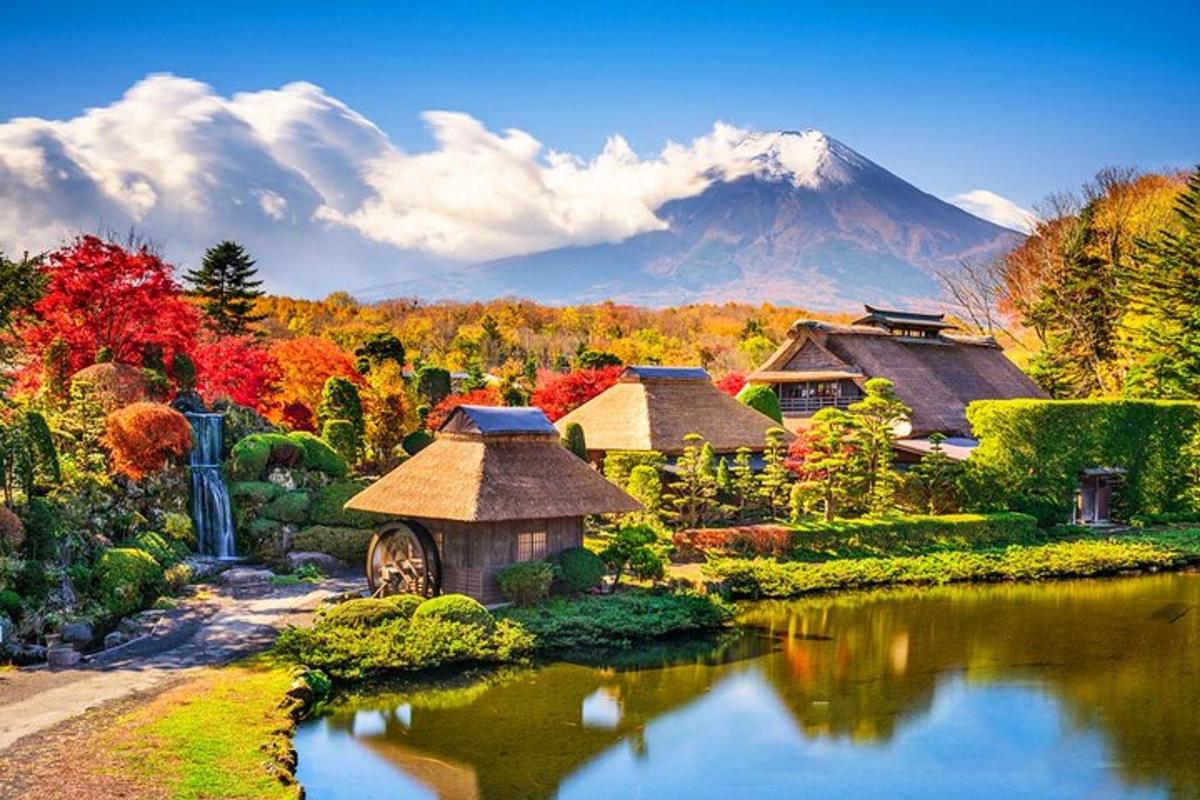 a garden with a mountain in the background